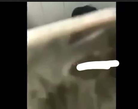 Ketahaun Mabar Sama Pacar Di Toilet Umum